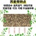荞麦壳苦荞壳枕头枕芯高温杀菌免洗荞麦壳全国一手货源
