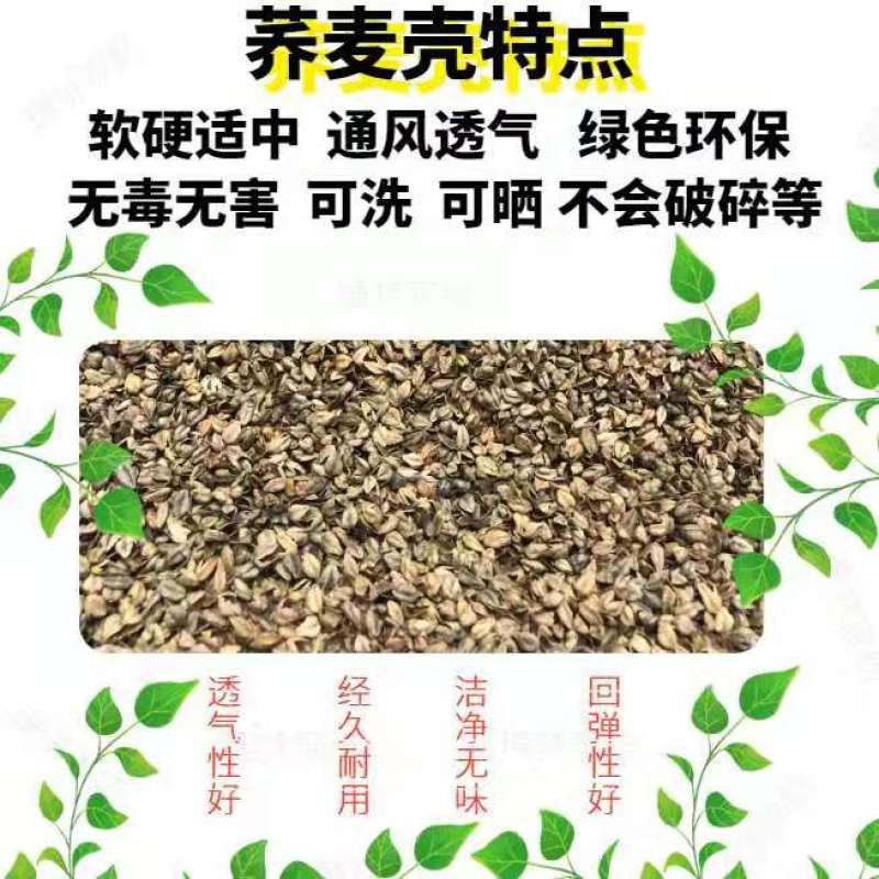 荞麦壳苦荞壳枕头枕芯高温杀菌免洗荞麦壳全国一手货源