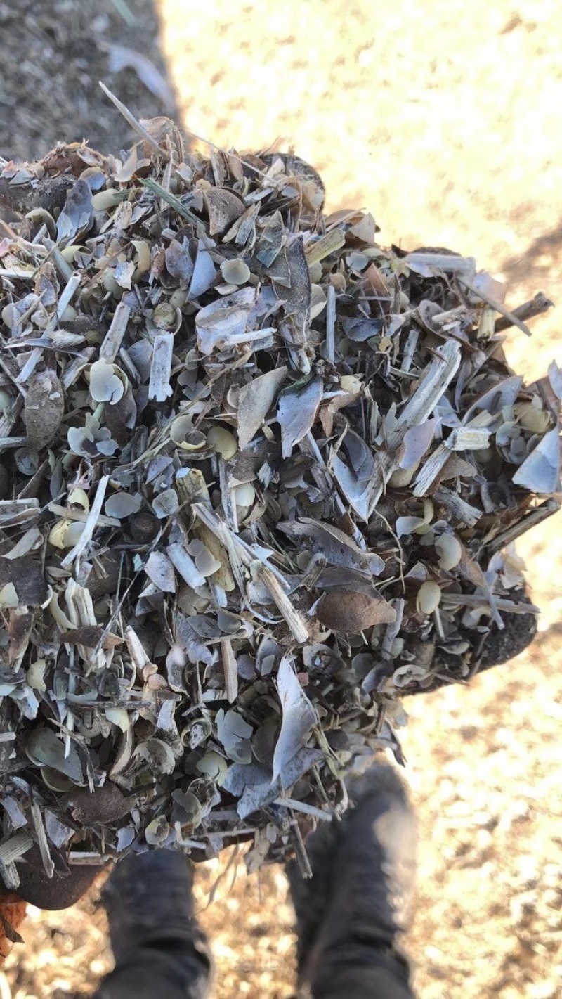 黄豆秸秆（豆荚皮）适口性好蛋白质高无土无膜价格低廉质量好