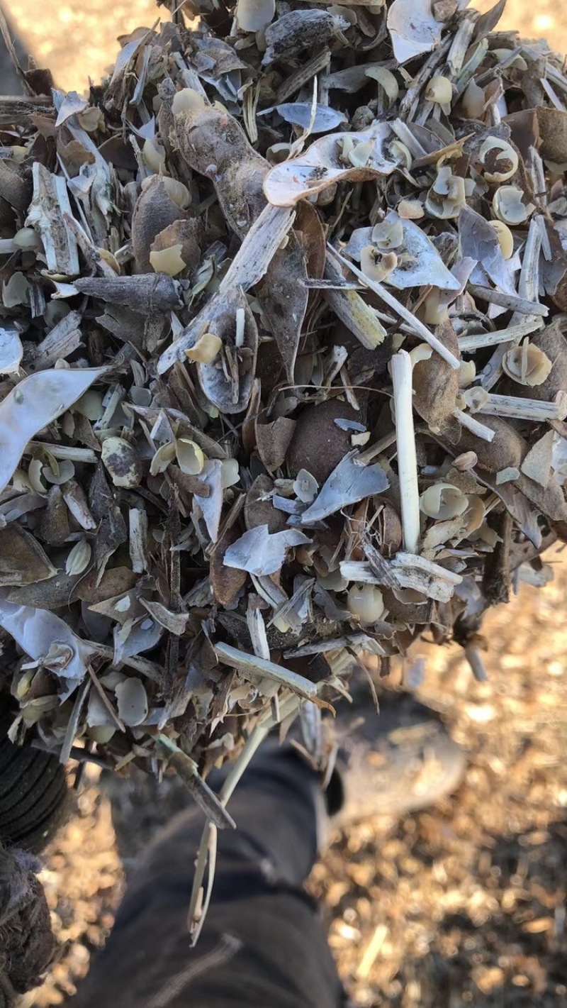 黄豆秸秆（豆荚皮）适口性好蛋白质高无土无膜价格低廉质量好