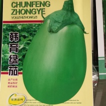 韩育绿茄种子，高产抗病早熟品种，色青绿，皮色亮