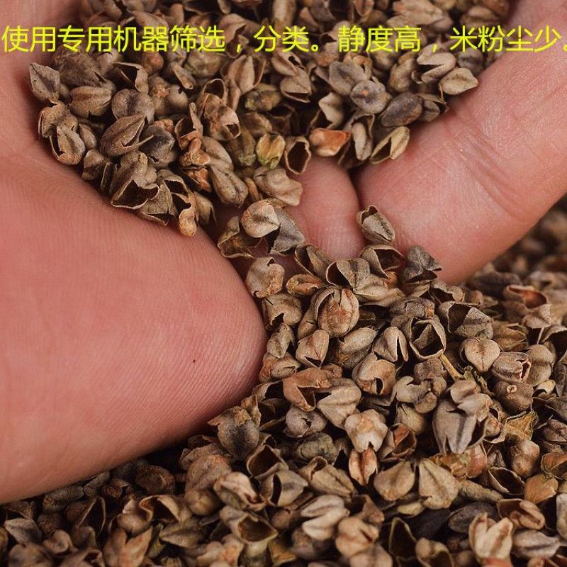 荞麦壳荞麦皮苦荞壳荞麦枕头水洗荞麦枕芯大量现货