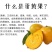 正宗鸡蛋果树苗蛋黄果树苗名贵仙桃水果树苗盆栽地栽带土带叶