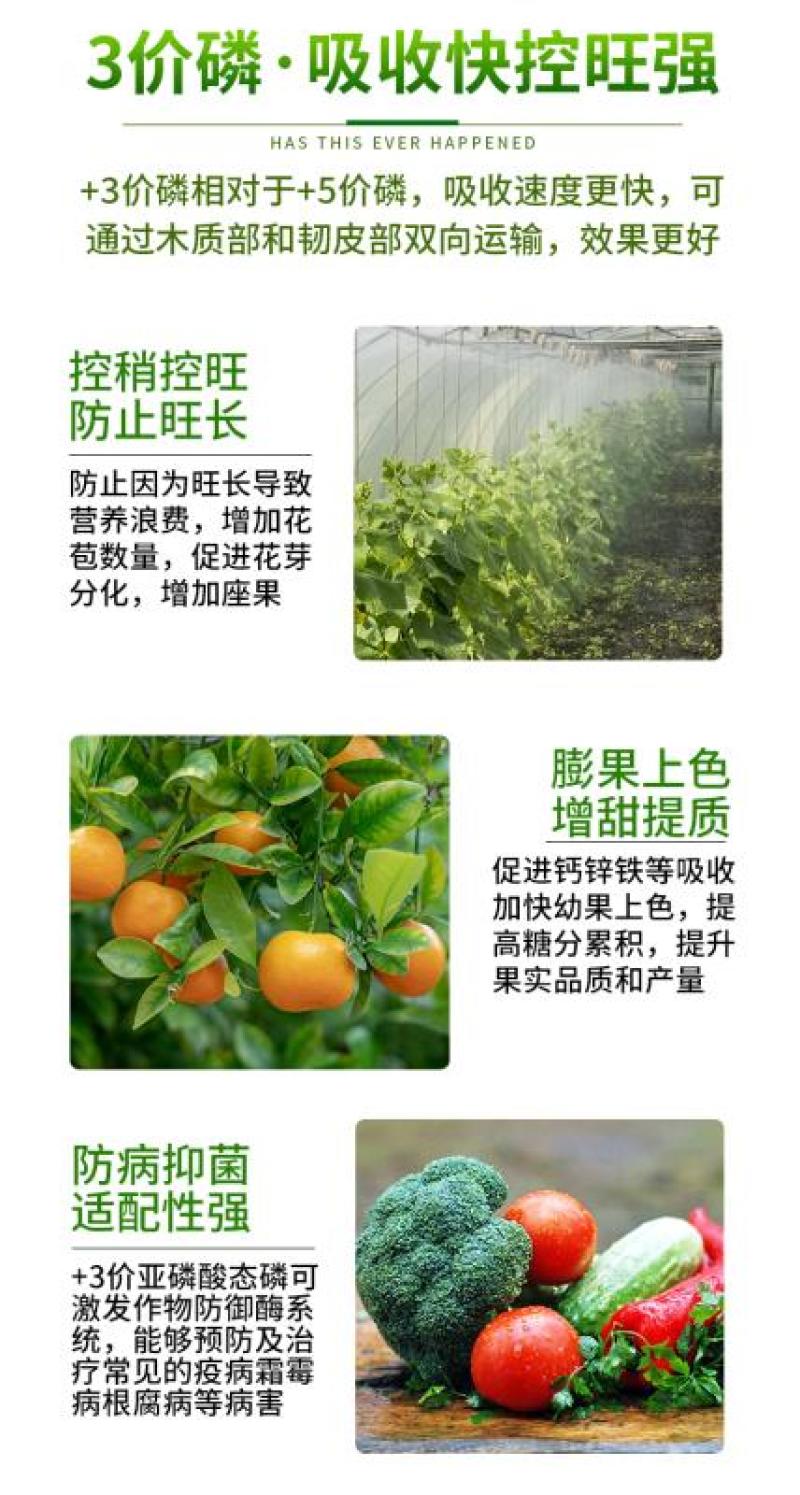 进口亚磷酸钾叶面肥正品高磷高钾控梢柑橘果树蔬菜通用膨果