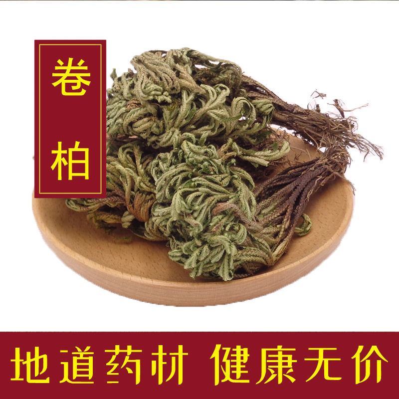卷柏九死还魂草九死草产地直发量大货好