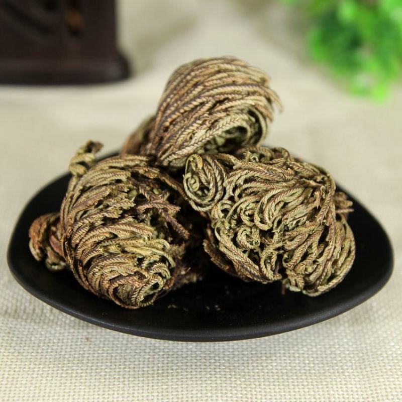 卷柏九死还魂草九死草产地直发量大货好