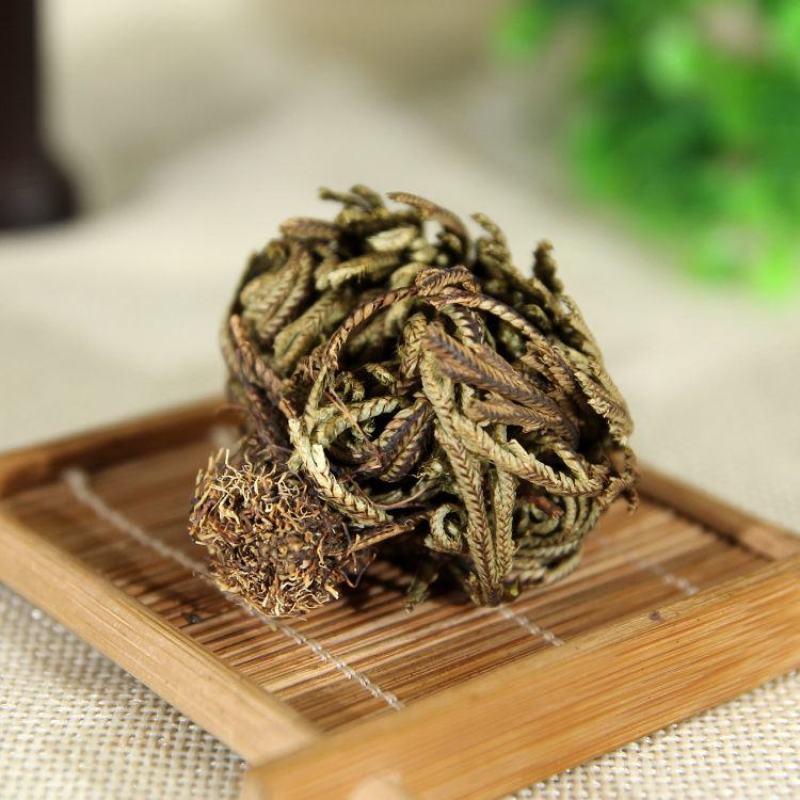 卷柏九死还魂草九死草产地直发量大货好