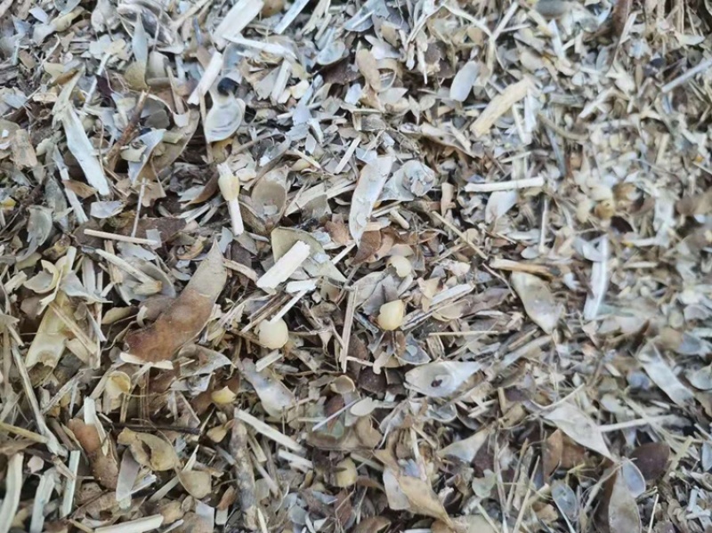 黄豆秸秆（豆荚皮）适口性好蛋白质高无土无膜价格低廉质量好