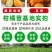 橘子树苗砂糖橘苗蜜桔丑橘果苗室内外盆栽地栽南北方种植当年