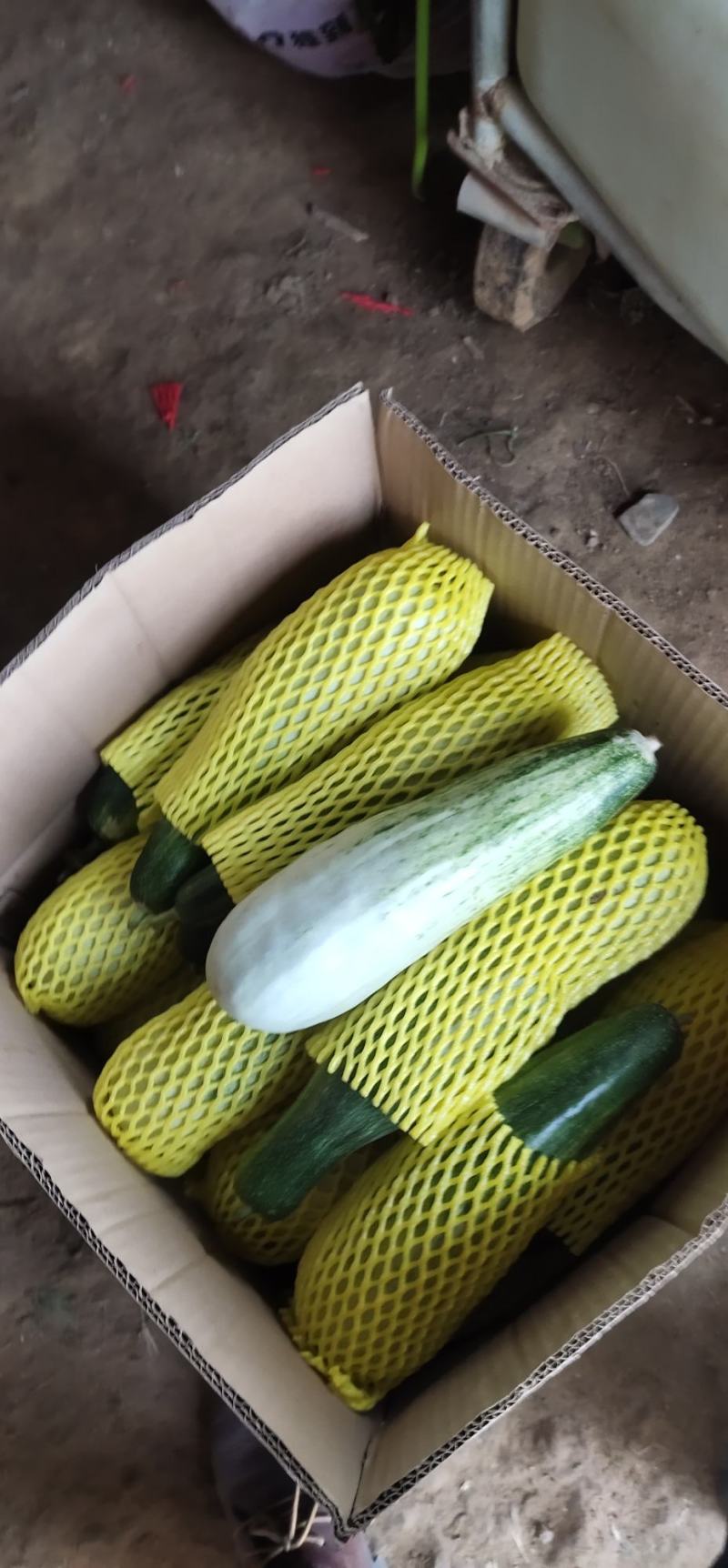 各种水果大量上市欢迎老板前来采购
