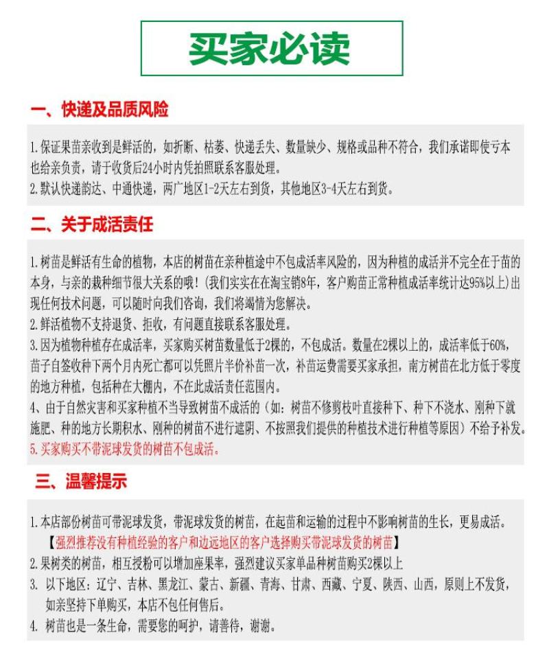 嘉宝果苗台湾四季早生红妃艾斯卡红猩树葡萄苗珍稀名贵盆栽果