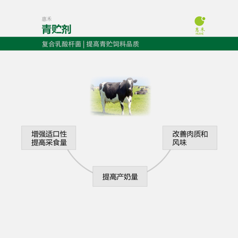 青贮饲料发酵剂复合乳酸杆菌快速产酸发酵提高稳定性