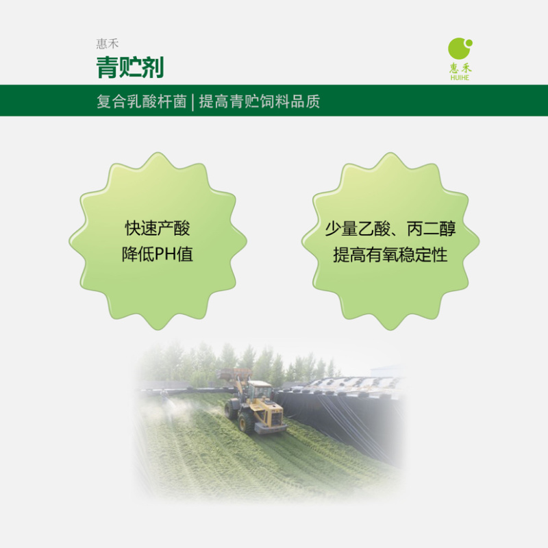 青贮饲料发酵剂复合乳酸杆菌快速产酸发酵提高稳定性