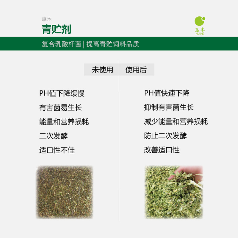 青贮饲料发酵剂复合乳酸杆菌快速产酸发酵提高稳定性