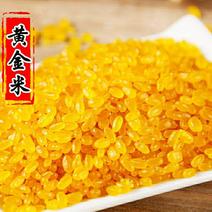 东北黄金米玉米黄金米五谷杂粮营养米5斤1袋39元