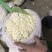 精品有机花菜上市中，量大质优，质量一级，精品，精品