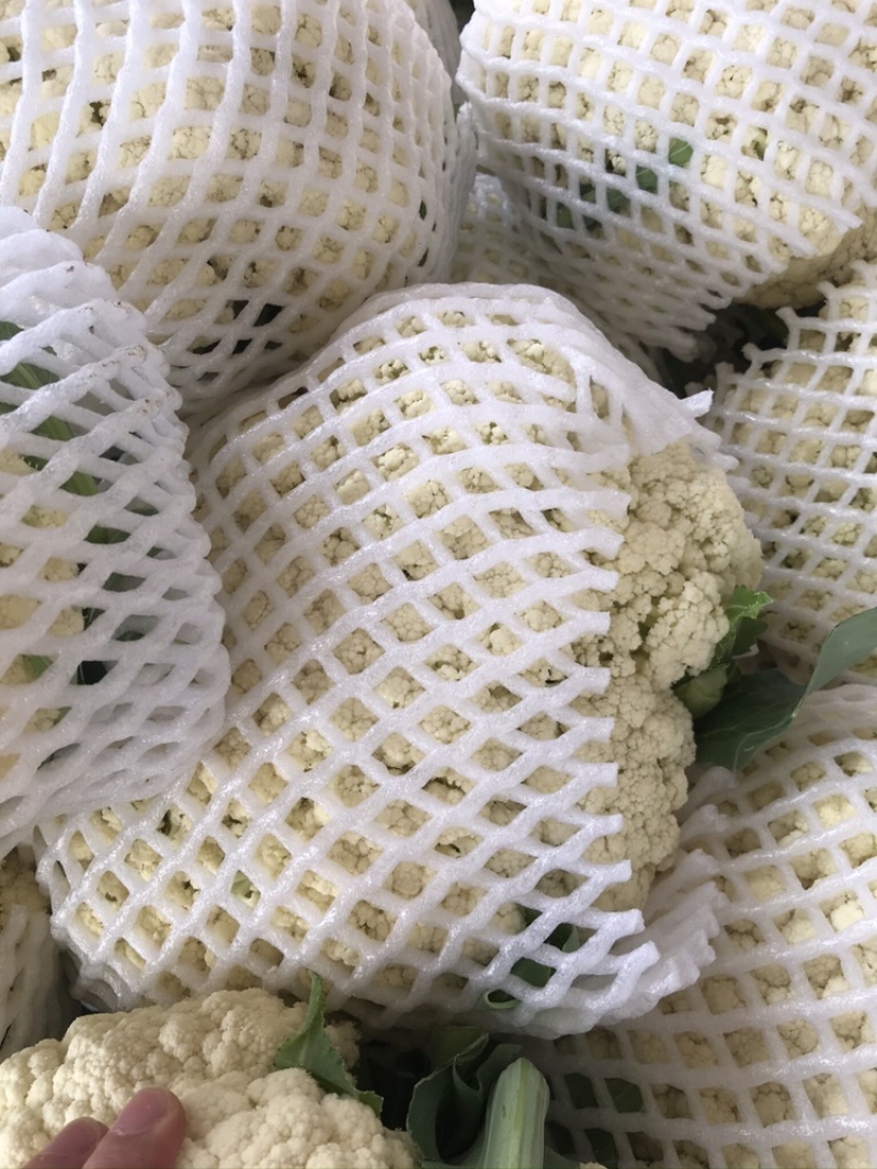 精品有机花菜上市中，量大质优，质量一级，精品，精品
