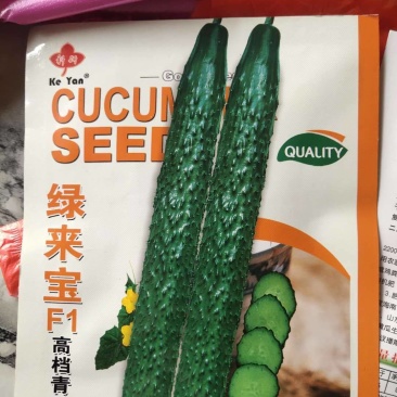 黄瓜种子，绿来宝油量