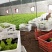 山东青州黄金薯基地金叶甘薯基地黄叶植物金叶薯基地供应
