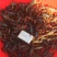 微山湖清水小龙虾肉多壳薄