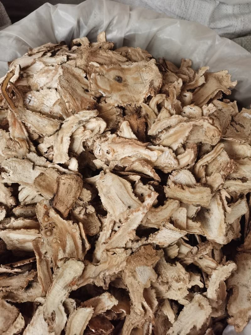 包邮当归全片甘肃当归头片精品当归头片无硫无条件退货