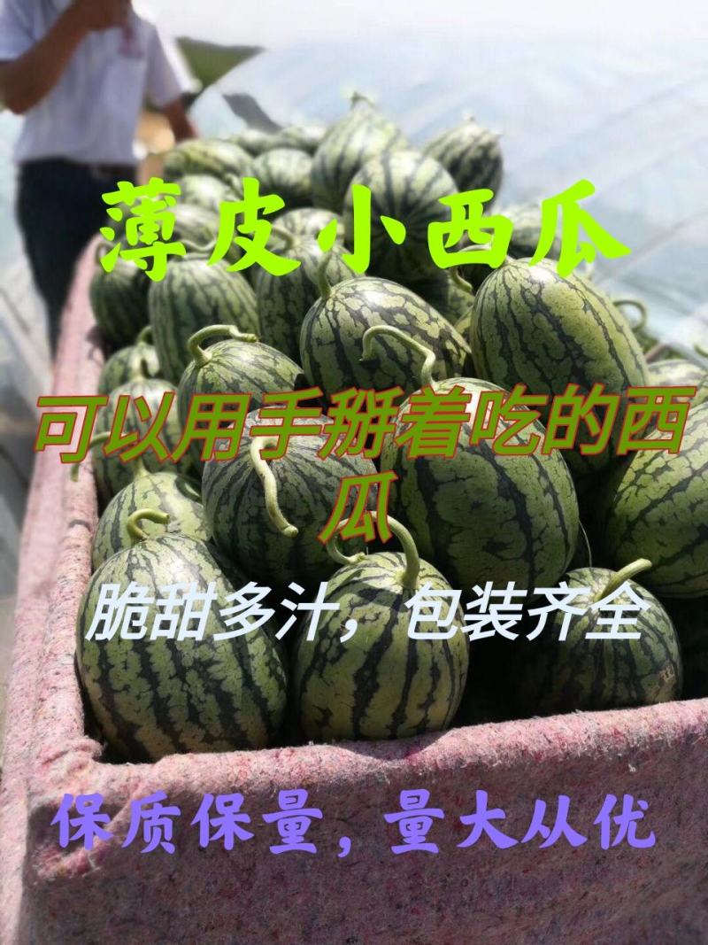 山东西瓜全美2k西瓜薄皮瓜甜大量供应团队实力代收真实报价