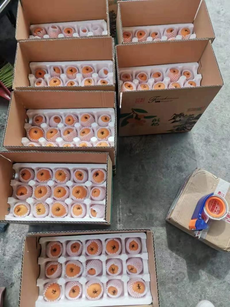枇杷，又大又黄，黄果柑又大又甜，颜色好