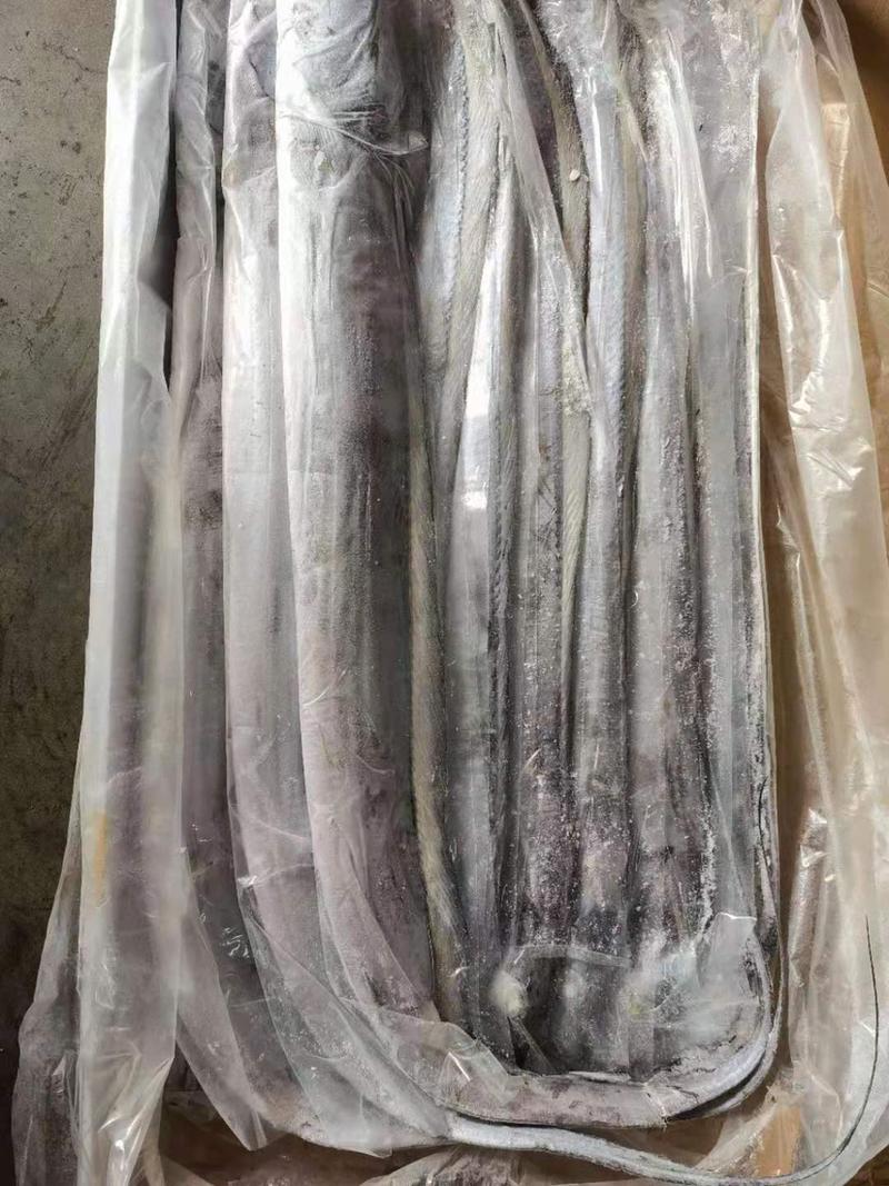 印尼钓带鱼500-700冷链物流全国配送