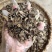 云南中药材升麻升麻片正品黑升麻片500g包邮