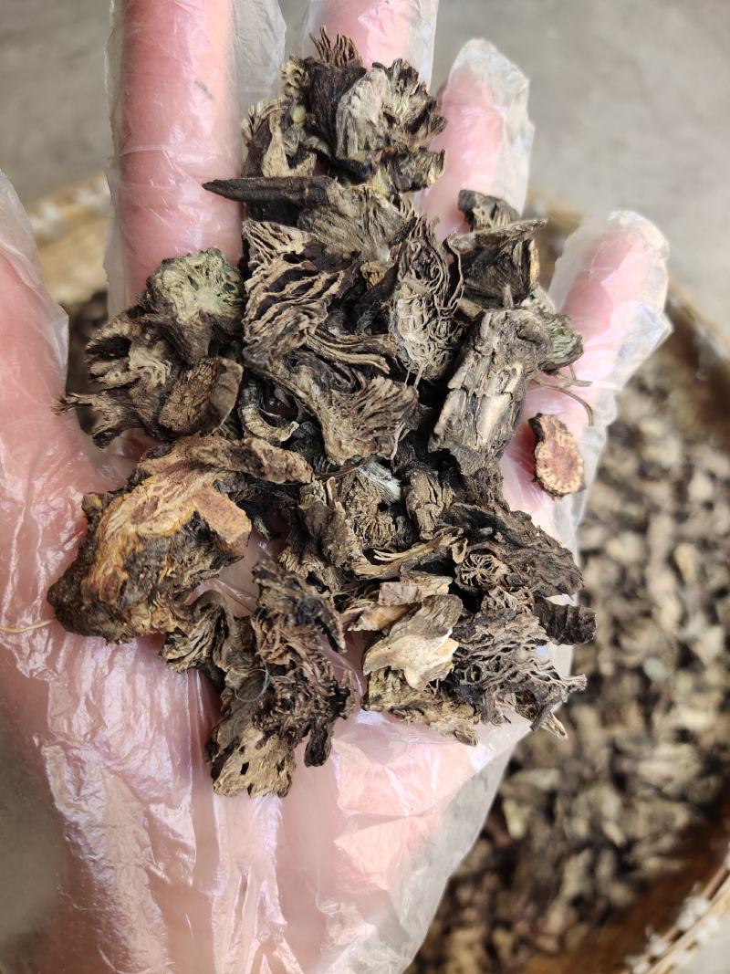云南中药材升麻升麻片正品黑升麻片500g包邮