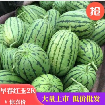 2k西瓜全美2k小吊瓜产地直供全国供应电商批发商