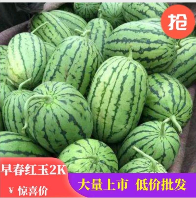 2k西瓜全美2k小吊瓜产地直供全国供应电商批发商