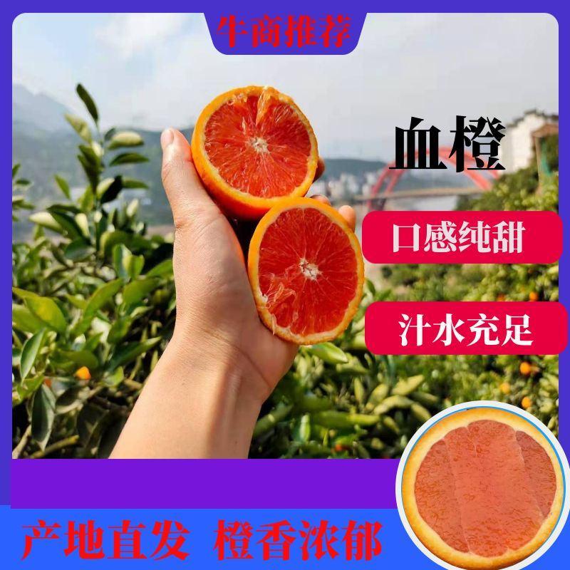 （精品一级果）秭归中华红血橙红肉红心橙子纯甜营养高的橙子