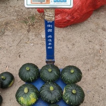 广西产地供应优质板栗南瓜！欢迎电商！团购！批发市场定购！