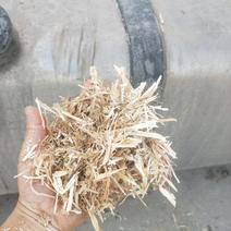 柔丝玉米秸无尘无土保干质量优良，适合牛羊马驴
