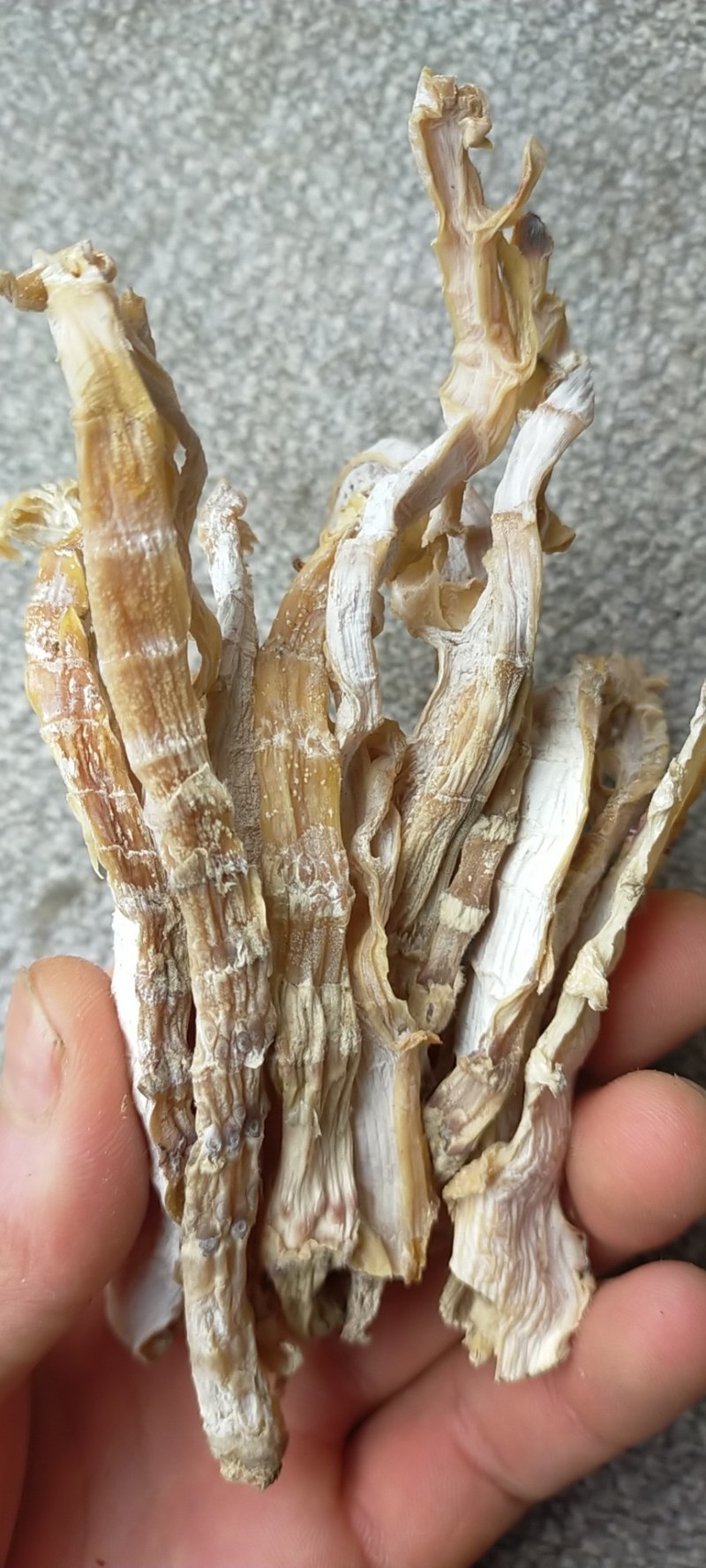 干笋片，来电定做，按标准要求订做，质量保证