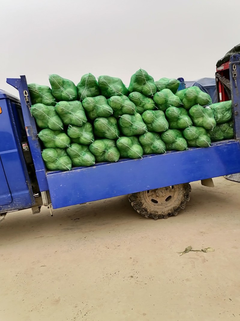 甘兰，现己上市，专业工人，打包上车，，