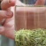 明前碧螺春茶叶特级绿茶500g支持线上保障交易