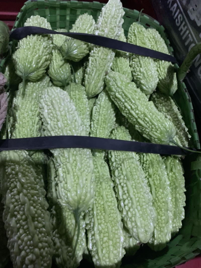 苦瓜之乡白玉苦瓜上市市场商超佳品👍