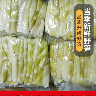 煮笋新鲜野生山竹笋小竹笋火锅笋一手货源，产地直发