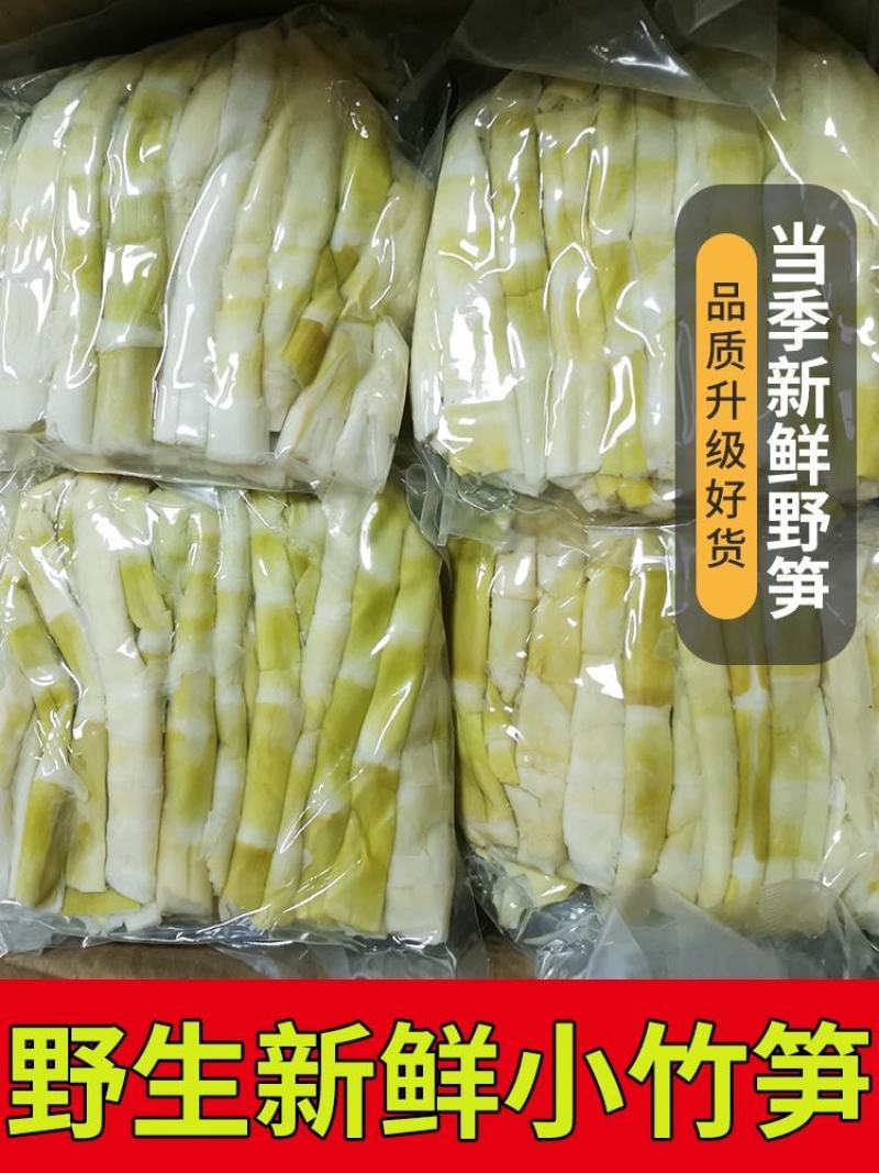 煮笋新鲜野生山竹笋小竹笋火锅笋一手货源，产地直发