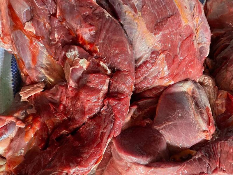牛肉牛肉牛肉新鲜牛肉高原藏牦牛肉