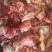 牛肉牛肉牛肉新鲜牛肉高原藏牦牛肉