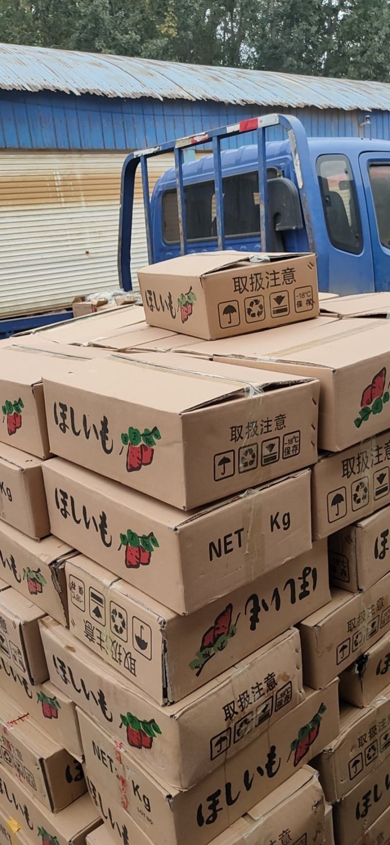 精品地瓜干霜条霜片上面白霜都是自然而然形成原汁原味
