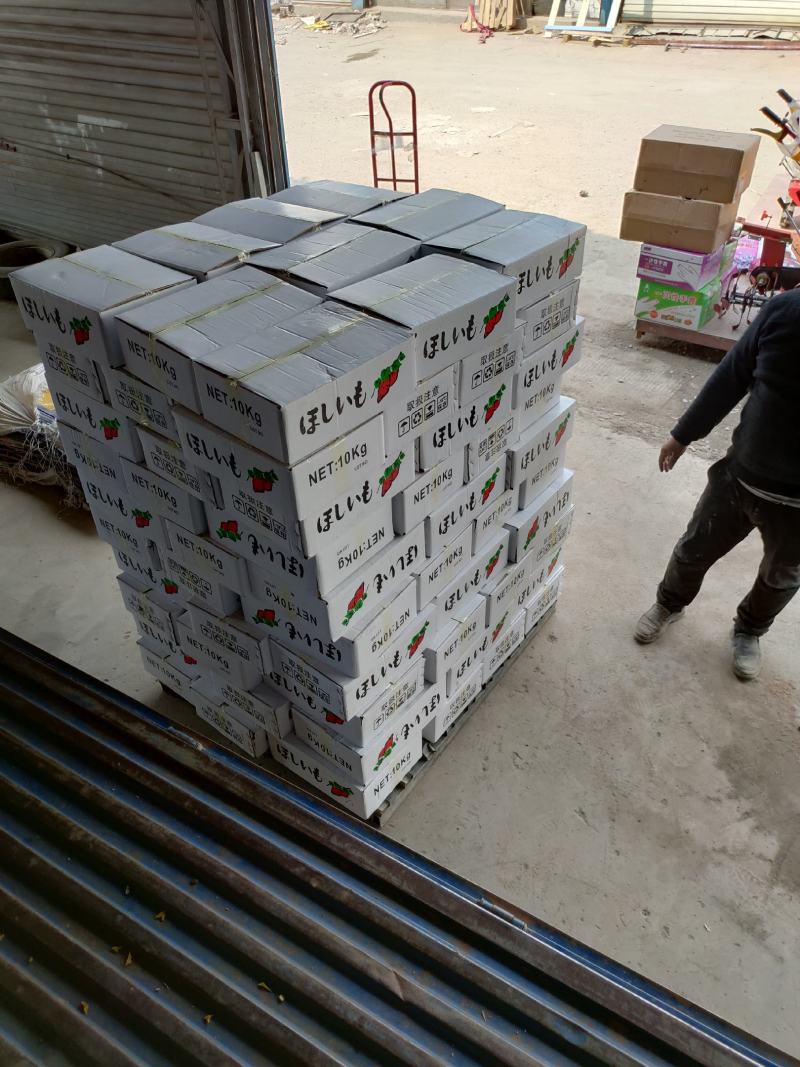 精品地瓜干霜条霜片上面白霜都是自然而然形成原汁原味