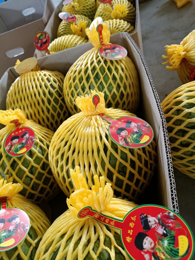 云南芒市特小凤西瓜大量上市了