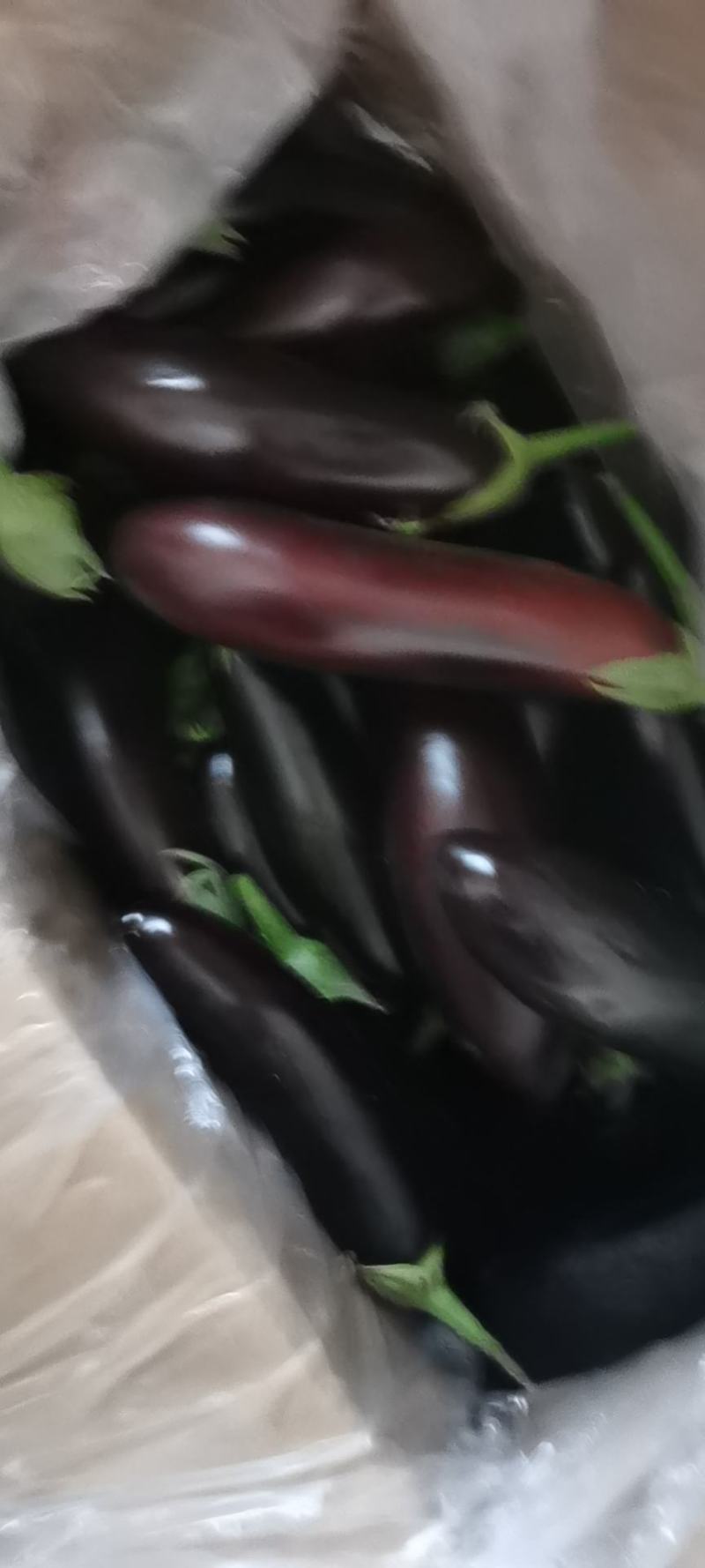 茄子大量现货大量上市需要的前来选购，价格美丽