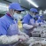 新鲜大虾仁速冻青虾仁活虾冷冻白虾仁海虾仁国产开背大虾仁
