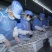 新鲜大虾仁速冻青虾仁活虾冷冻白虾仁海虾仁国产开背大虾仁
