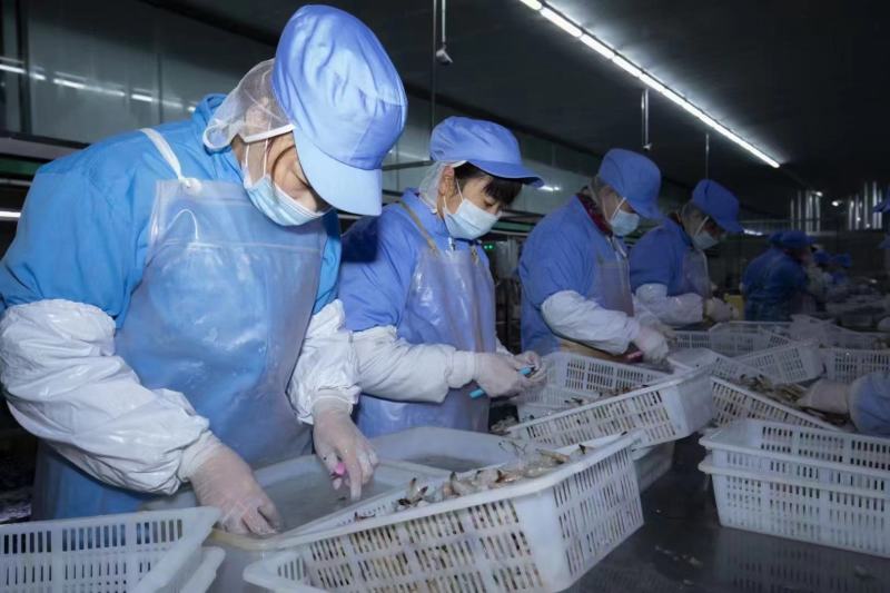 新鲜大虾仁速冻青虾仁活虾冷冻白虾仁海虾仁国产开背大虾仁